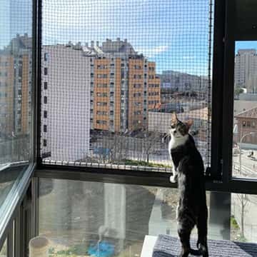 Instalação de Rede de Proteção para Gatos em São Paulo