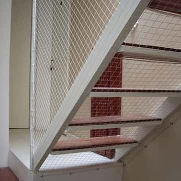 Rede de Proteção para Crianças e Animais em SP